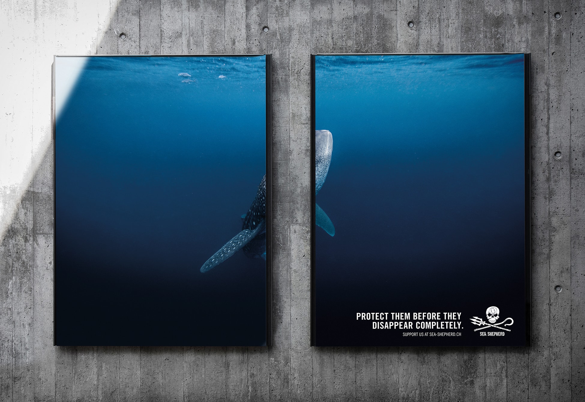 SEA-SHEPHERD