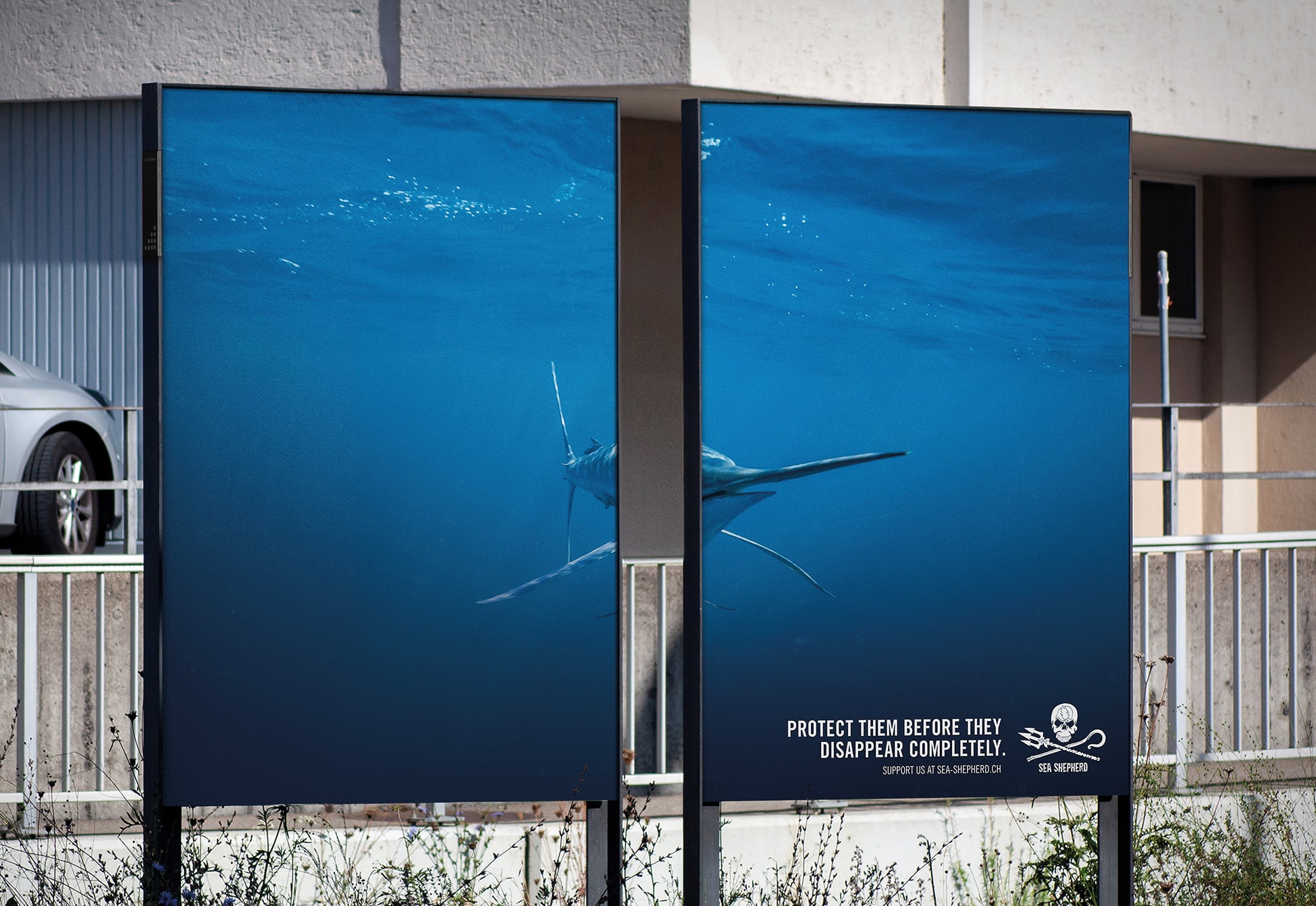 SEA-SHEPHERD