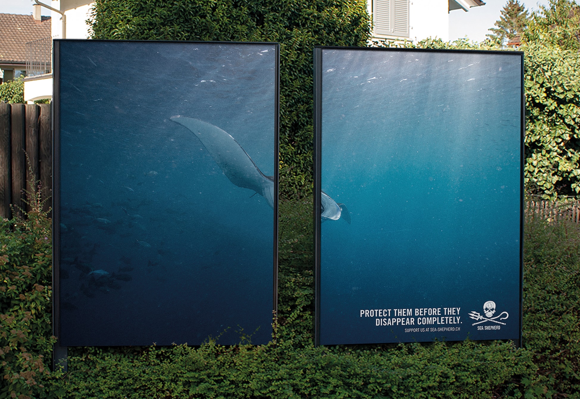 SEA-SHEPHERD